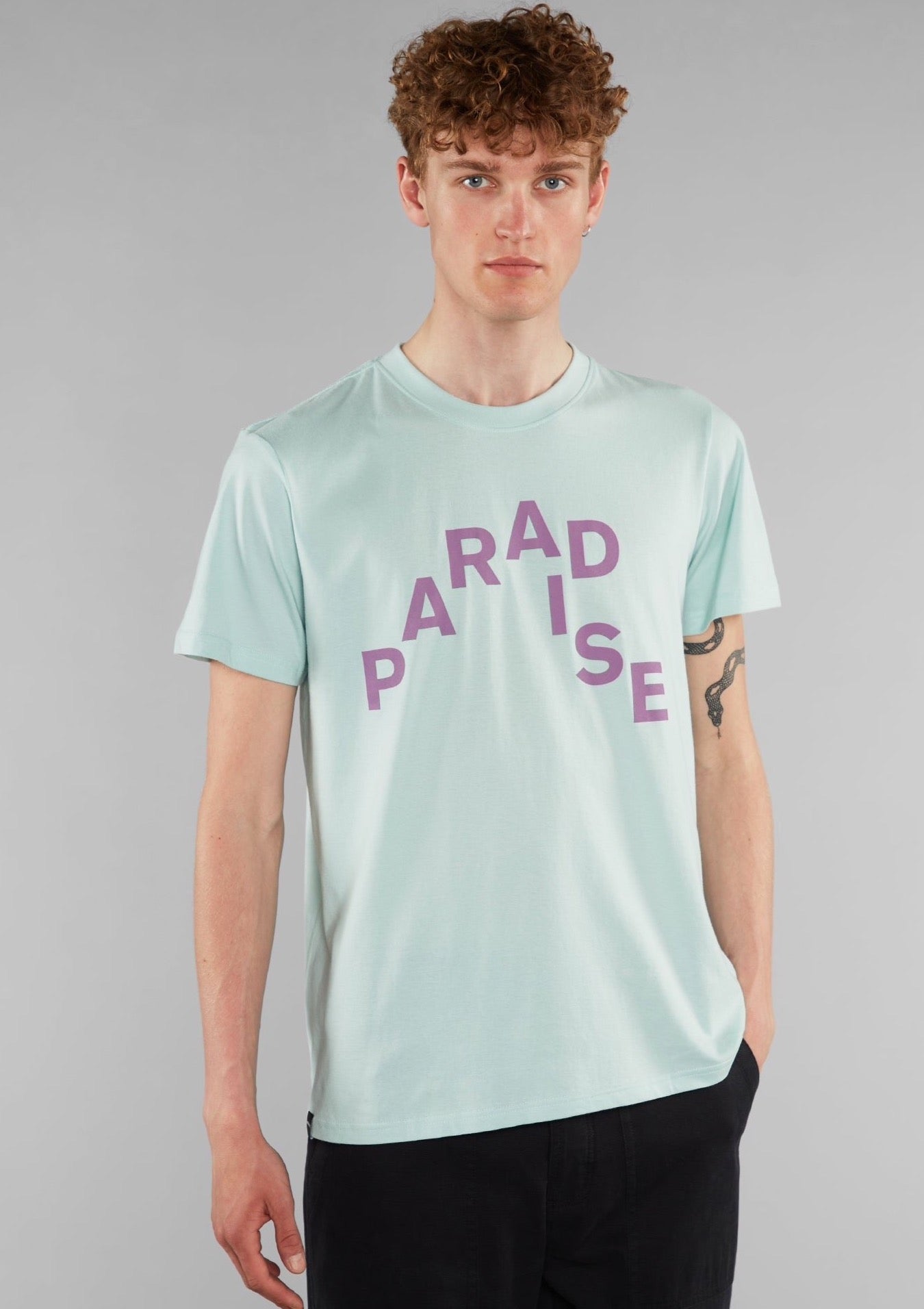 DEDICATED SS22-PARADISE MINT STOCKHOLM T-SHIRT-JUSTRAZIL